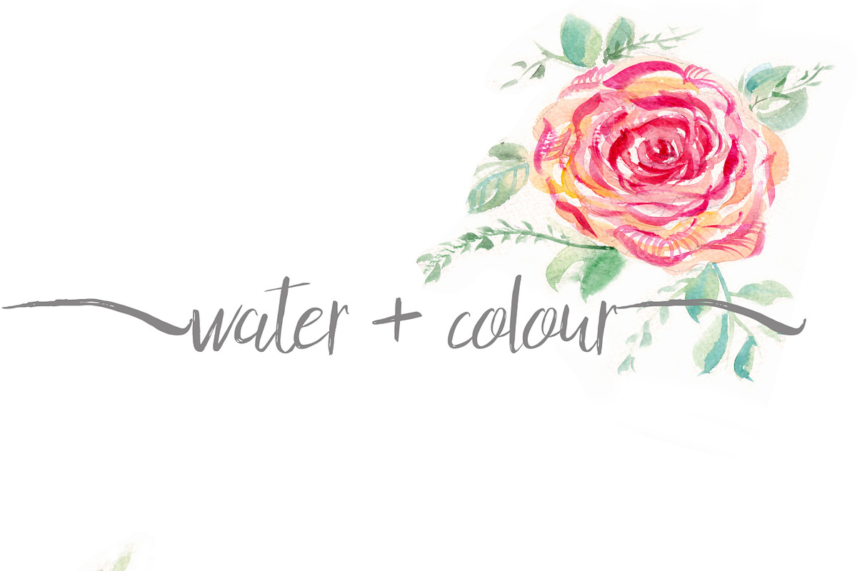 watercolour roses  in Illustrations - product preview 8