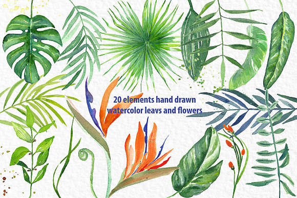 Tropical leaves branches watercolor in Illustrations - product preview 4