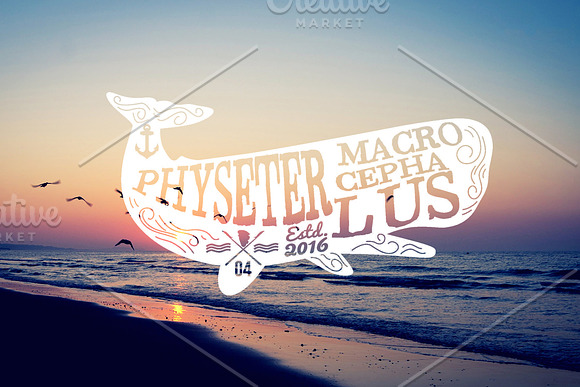 10 Ocean Vintage (editable text) in Logo Templates - product preview 2