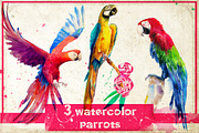 3 watercolor parrots