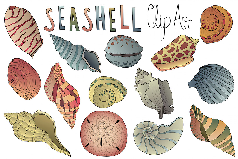 Seashell Clipart Vector PNG & JPG in Illustrations - product preview 8