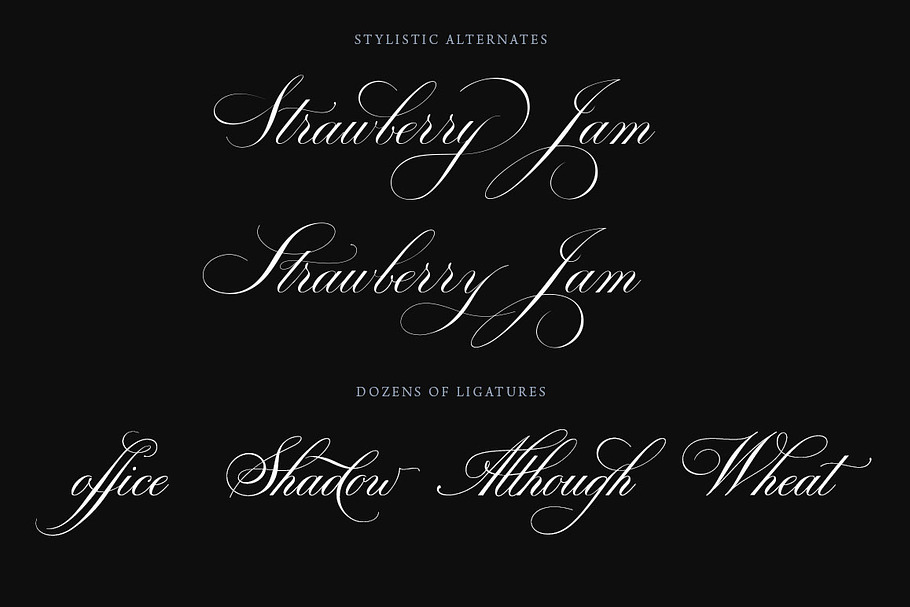 Bodega Script Elegant Wedding Font in Tattoo Fonts - product preview 8