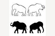 elephants.