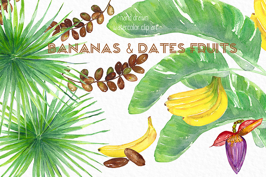 Banana & dates tropical watercolor in Illustrations - product preview 8
