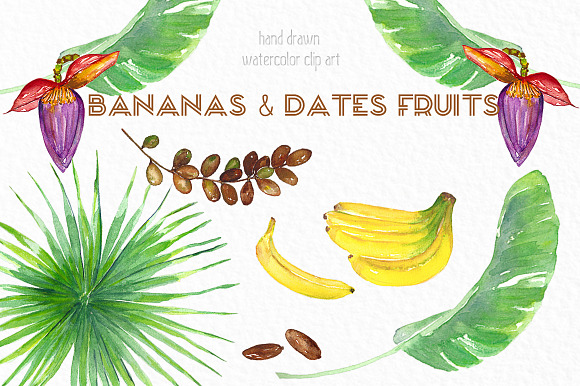Banana & dates tropical watercolor in Illustrations - product preview 1