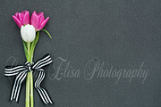 Styled stock photography tulips desk