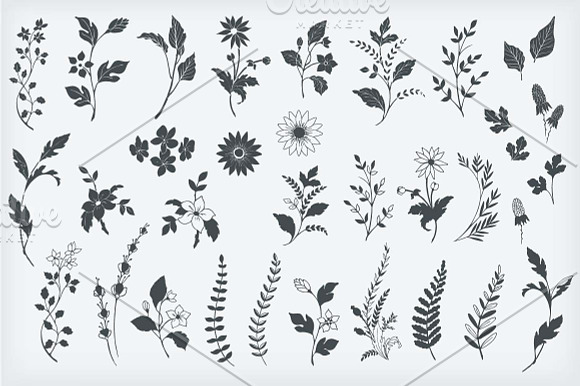 Botanical Decorative Elements in Illustrations - product preview 2