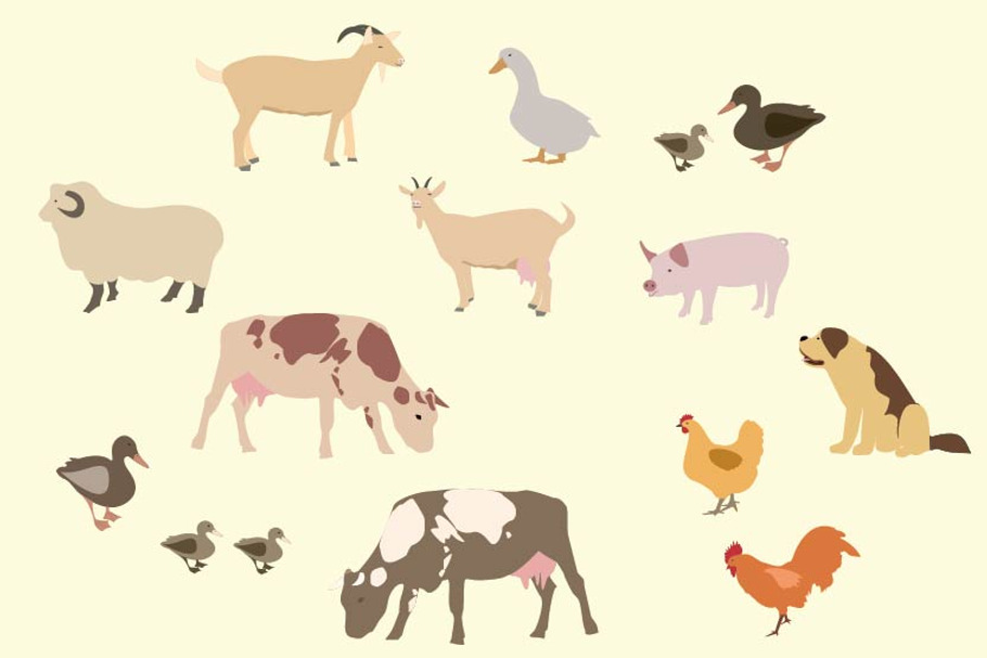 Domestic and farm animals set in Illustrations - product preview 8