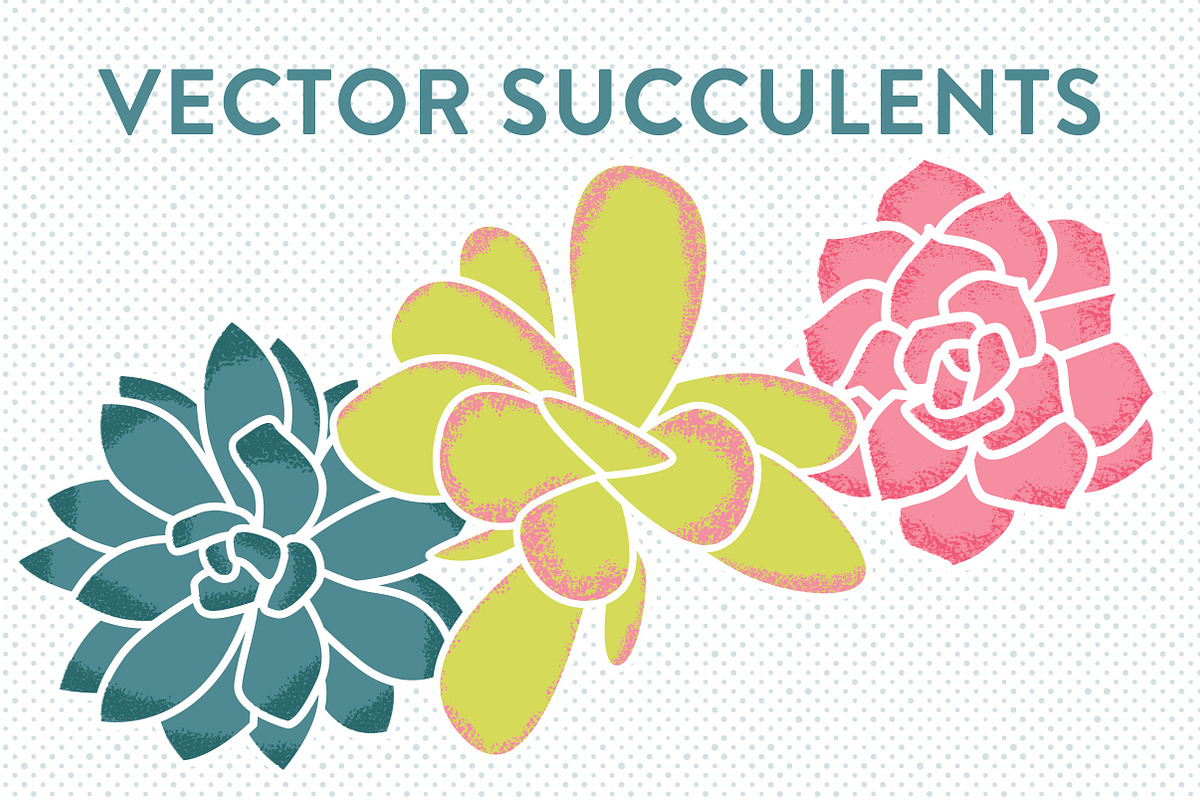 Vector Succulents in Illustrations - product preview 8