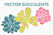 Vector Succulents