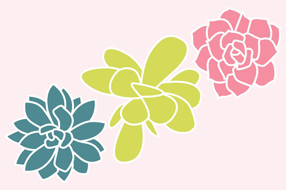 Vector Succulents in Illustrations - product preview 1