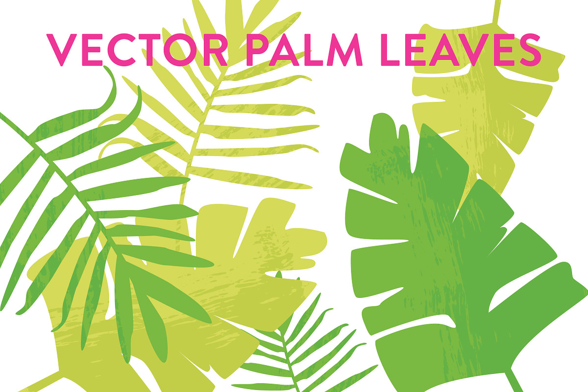 Vector Palm Leaves in Illustrations - product preview 8