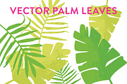 Vector Palm Leaves