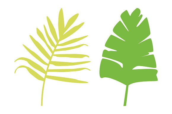 Vector Palm Leaves in Illustrations - product preview 1
