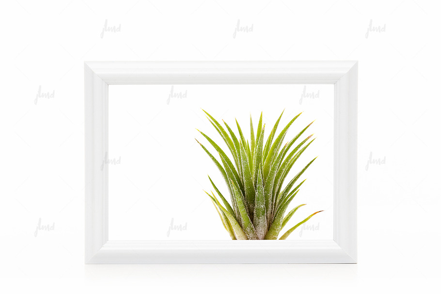 White 5x7" frame isolated mockup in Print Mockups - product preview 8