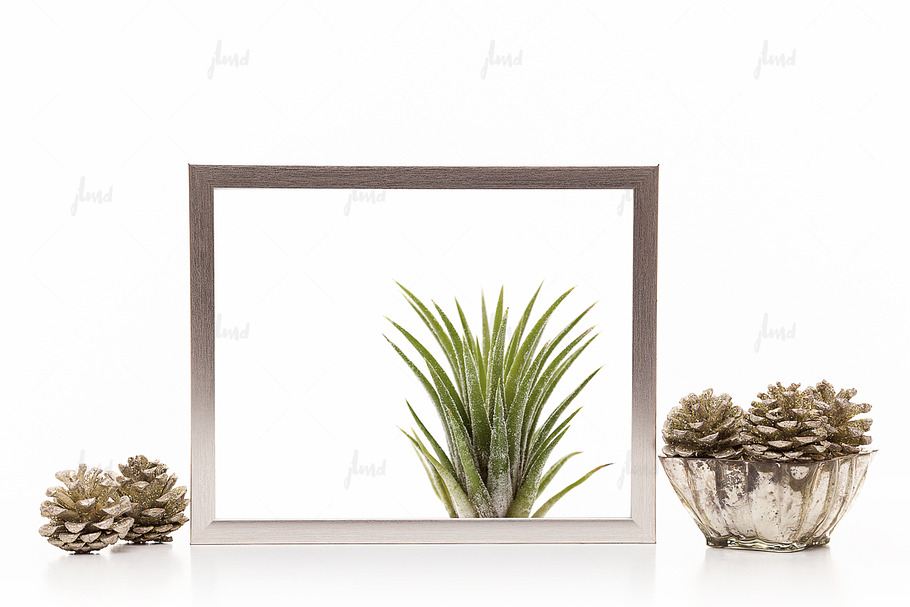 Silver 8x10" frame isolated mockup