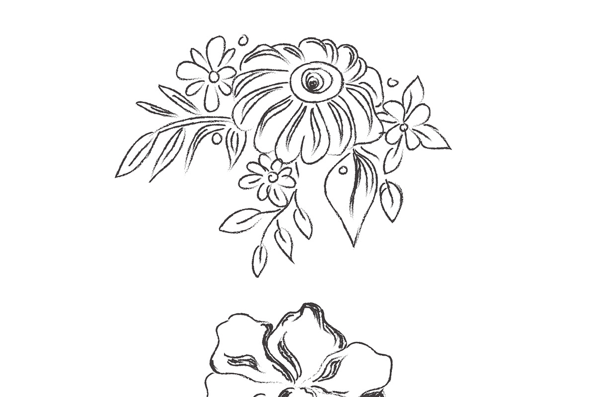 sketch, flowers, plants in Illustrations - product preview 8