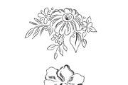 sketch, flowers, plants