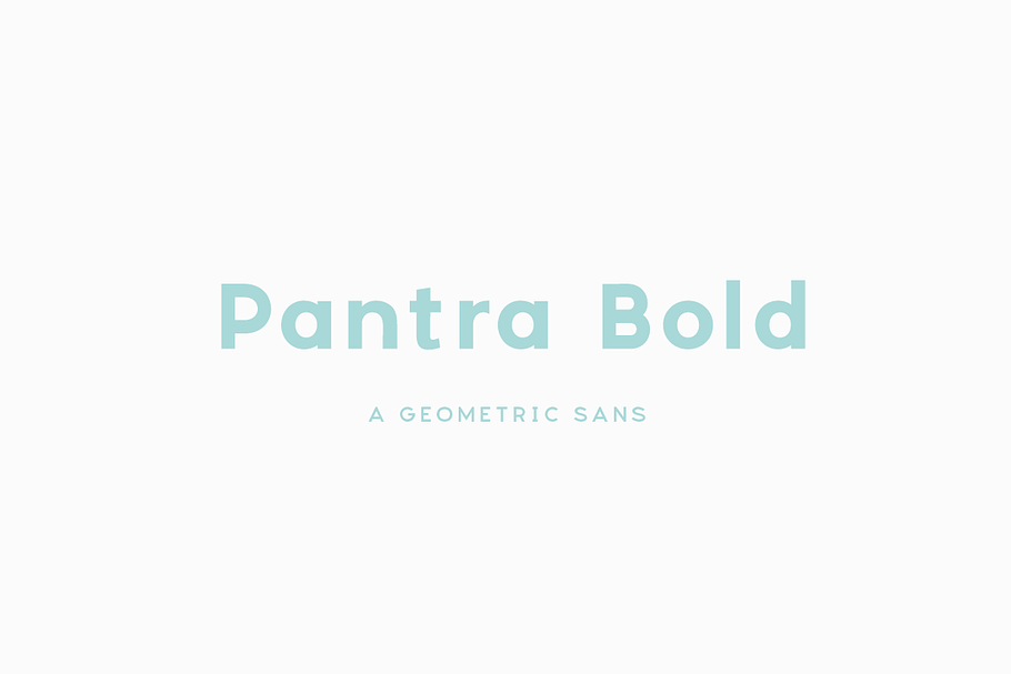 Pantra Bold