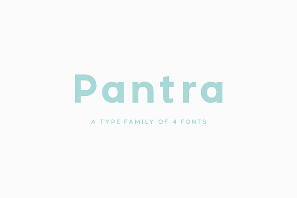 Pantra Type Family in Sans-Serif Fonts - product preview 8