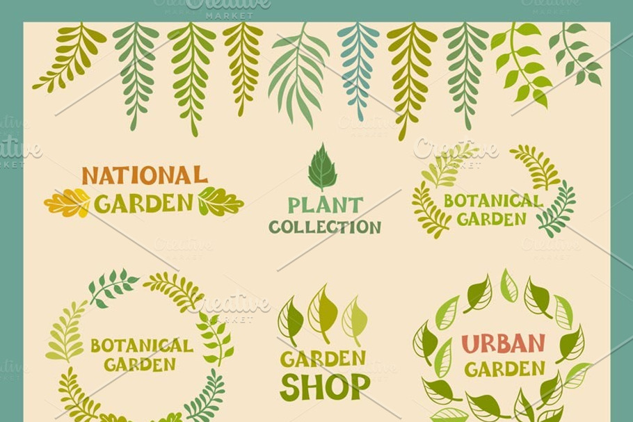 botanical round leafer, garden, plan in Illustrations - product preview 8