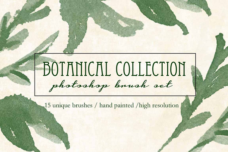 Botanical Brush Collection in Photoshop Brushes - product preview 8
