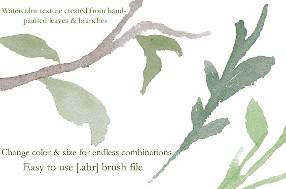 Botanical Brush Collection in Photoshop Brushes - product preview 2