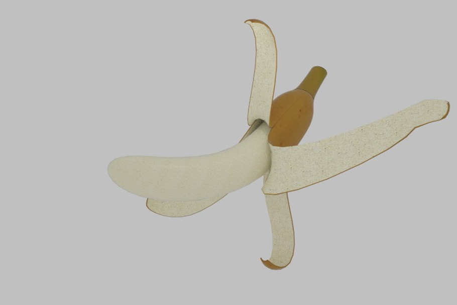 Banana Peel in Food - product preview 8