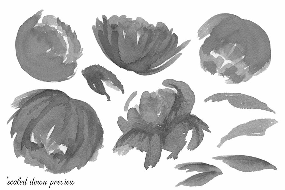 Feminine Floral Brush Collection in Photoshop Brushes - product preview 8