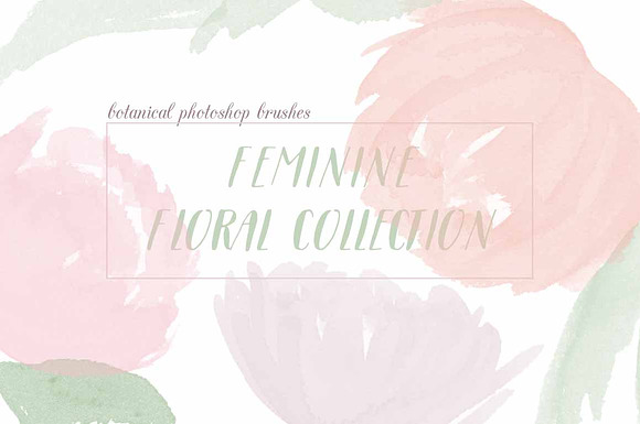 Feminine Floral Brush Collection in Photoshop Brushes - product preview 1