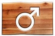 Male symbol cut in wooden board.