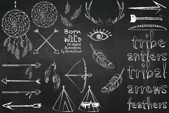 Born to be Wild in Illustrations - product preview 1