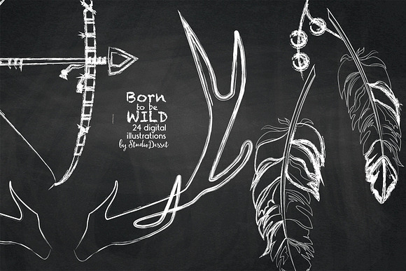 Born to be Wild in Illustrations - product preview 3