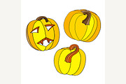 pumpkins vector illustration