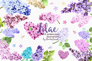 Lilac - Watercolor Flowers Clipart