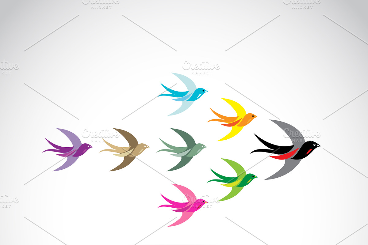 Group of colorful swallow birds in Illustrations - product preview 8