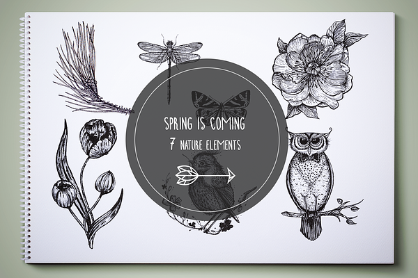 Spring elements, birds and flowers