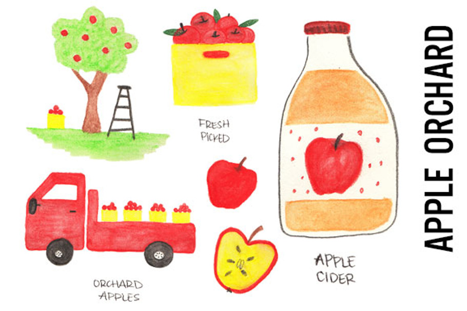 Apple Orchard Doodle Clipart in Illustrations - product preview 8
