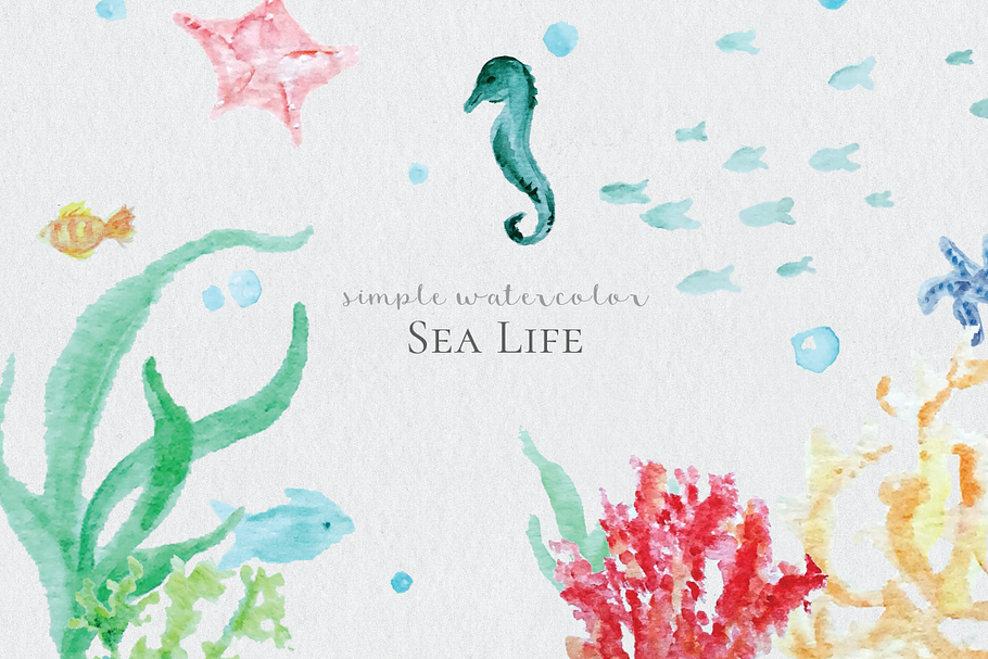 Watercolor Sea Life in Illustrations - product preview 8