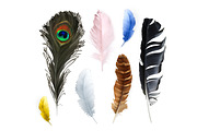 Feathers, vector icon set