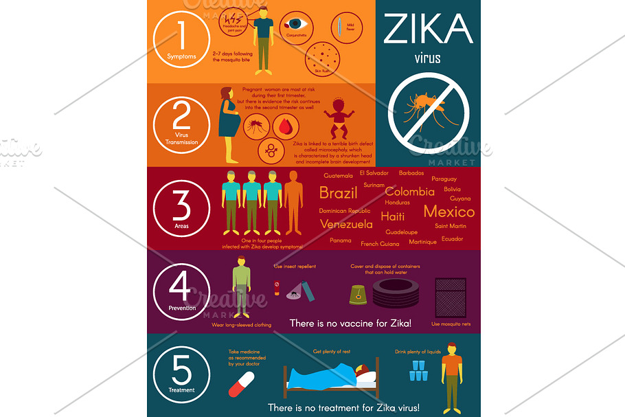 Zika virus infographics in Graphics - product preview 8