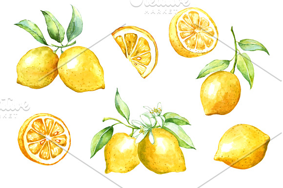 Watercolor lemon set. in Illustrations - product preview 1