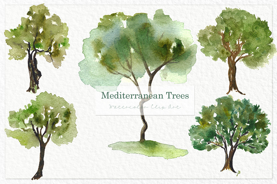 Trees mediterranean clip art in Illustrations - product preview 8