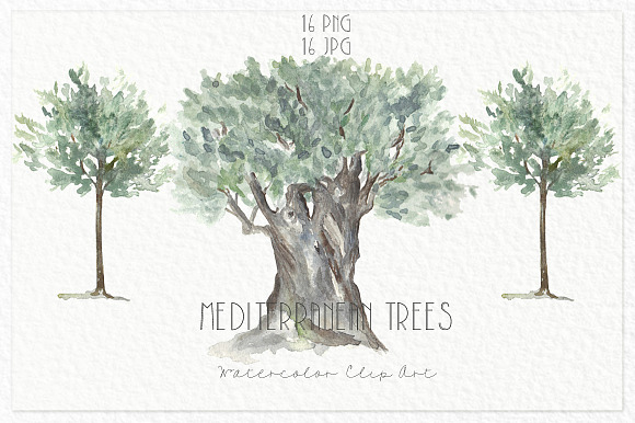 Trees mediterranean clip art in Illustrations - product preview 2