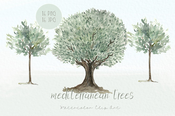 Trees mediterranean clip art in Illustrations - product preview 3