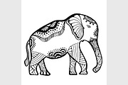 Hand drawn elephant