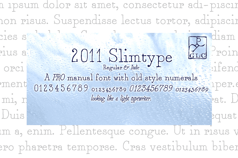 2011 Slimtype Pro family in Slab Serif Fonts - product preview 8