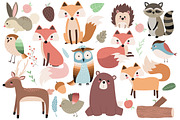Woodland Forest Animals Clipart Set