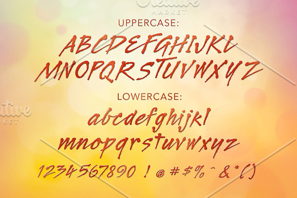Legault Bold Hand-Drawn Script in Script Fonts - product preview 4