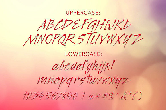 Legault Light Hand-Drawn Script in Script Fonts - product preview 2
